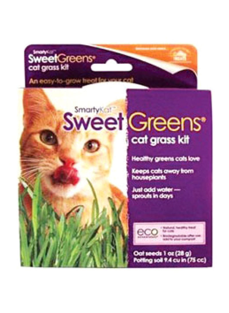 Kit Cat Grass Grow Kit Multicolour 28g
